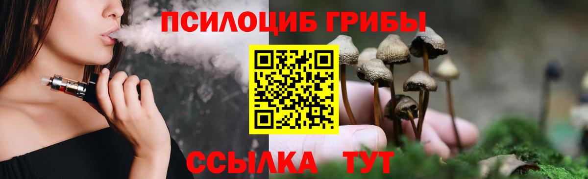 Калач-на-Дону  Псилоцибиновые грибы MAGIC MUSHROOMS  Вход с VPN 